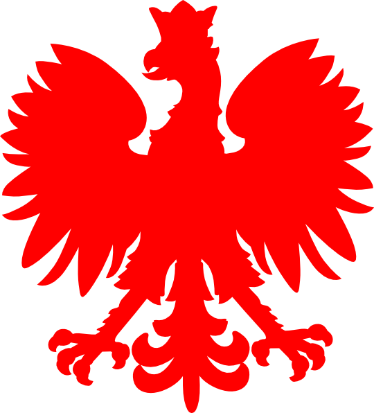 Top-Rated IPTV Provider in Poland