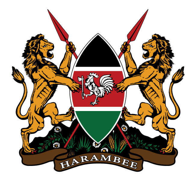 Best IPTV Package in Kenya